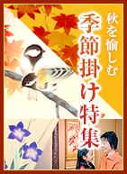 季節掛け特集