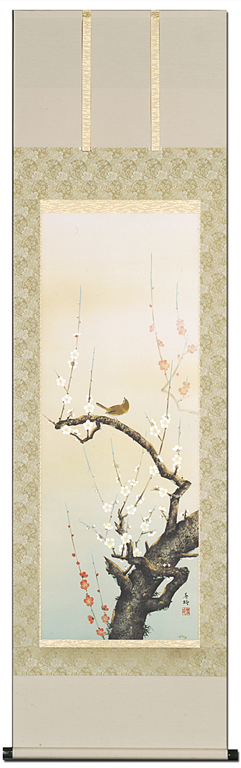 紅白梅に鴬 小西春玲 尺五立 （冬）！ 冬 - 掛け軸（掛軸）販売通販